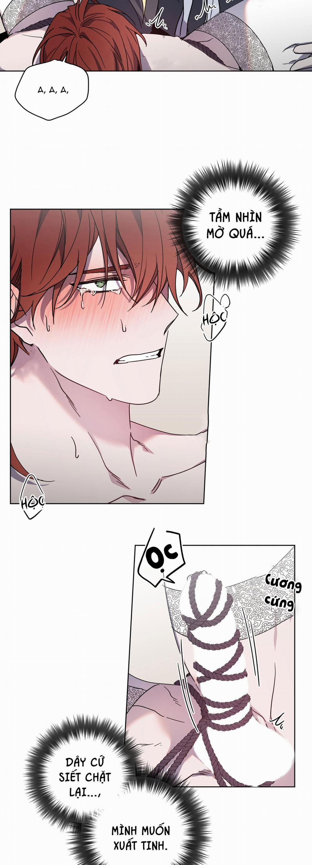 Bá Tước, Yêu Tôi Đi 22 trang 12