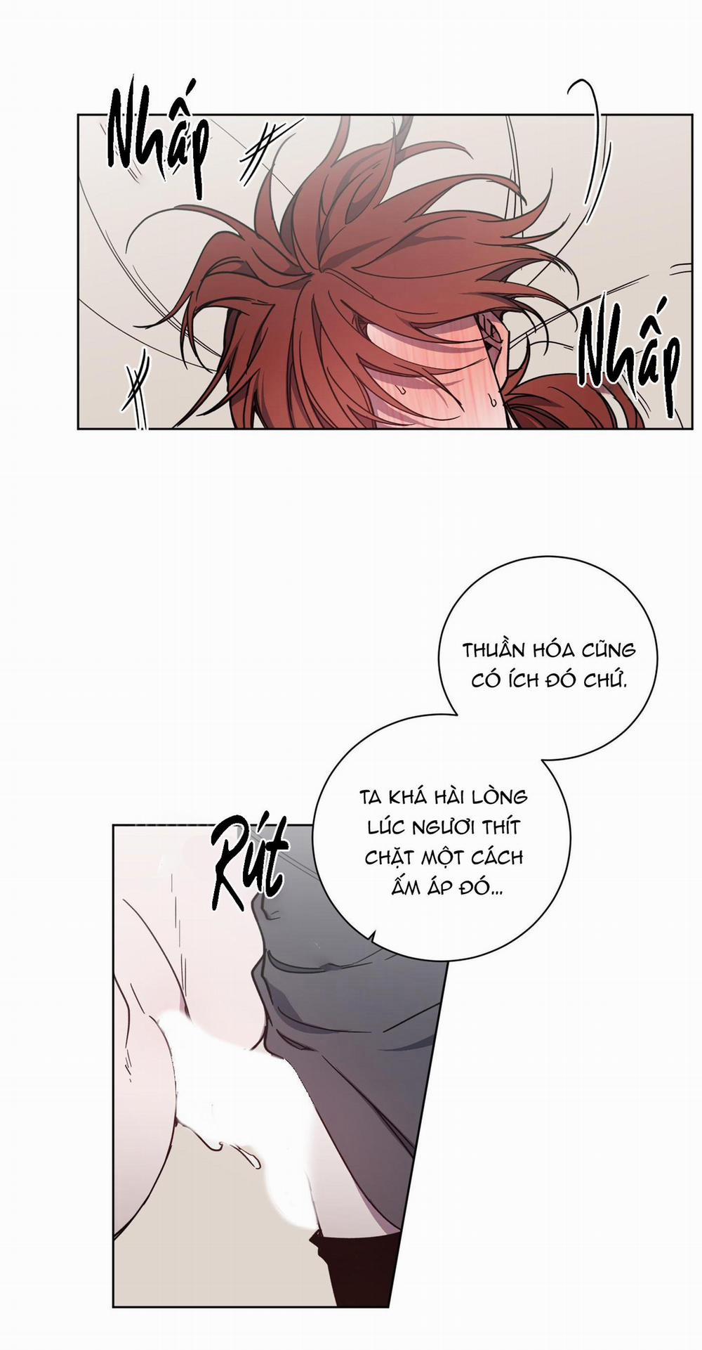 Bá Tước, Yêu Tôi Đi 23 trang 1