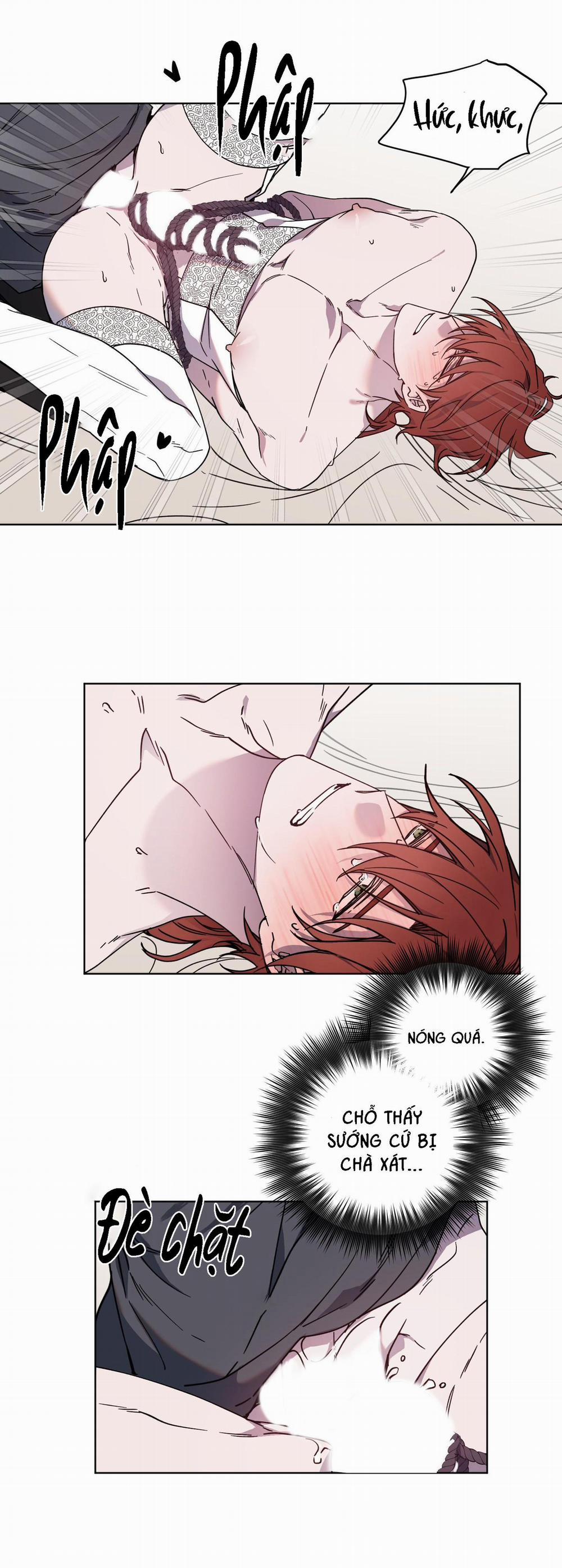 Bá Tước, Yêu Tôi Đi 23 trang 10