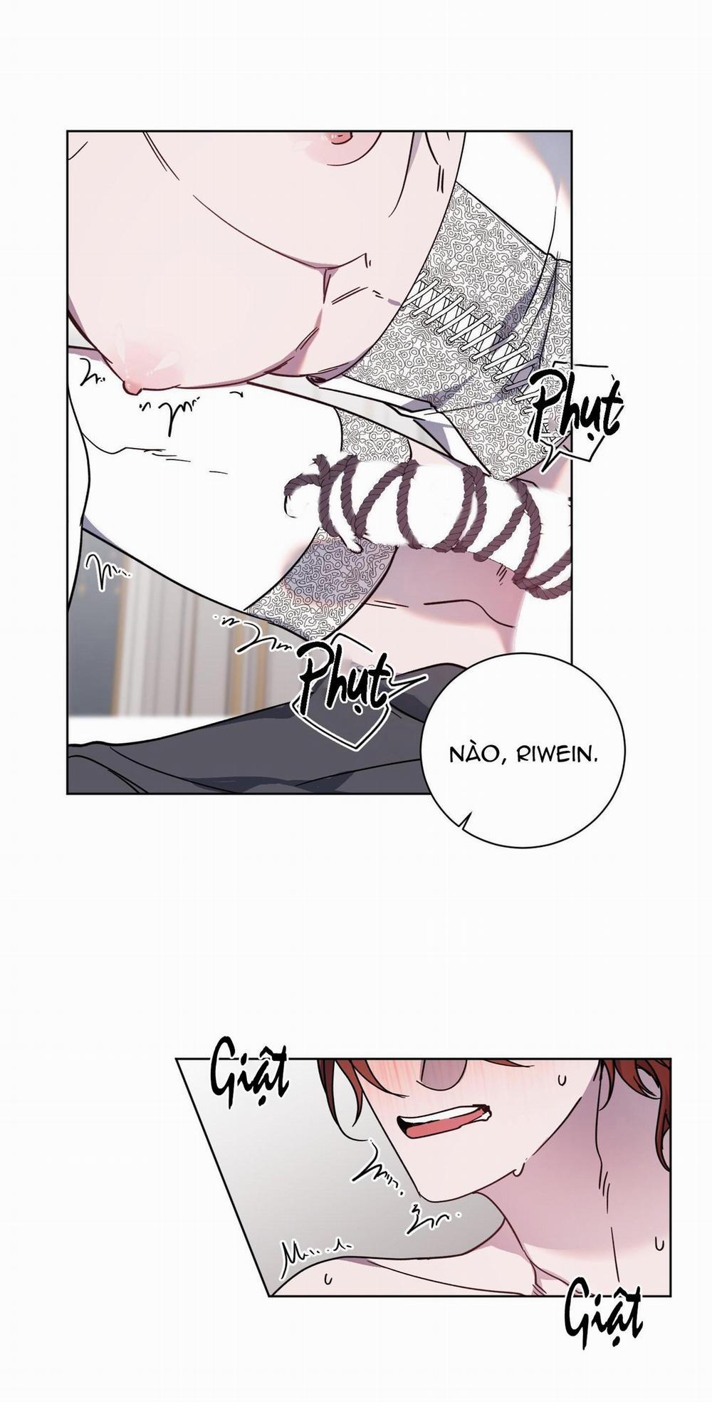 Bá Tước, Yêu Tôi Đi 23 trang 13