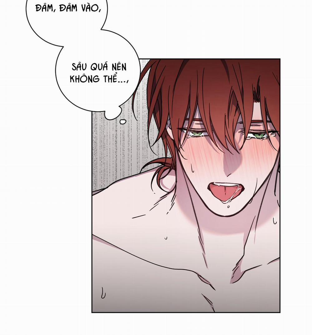 Bá Tước, Yêu Tôi Đi 23 trang 18