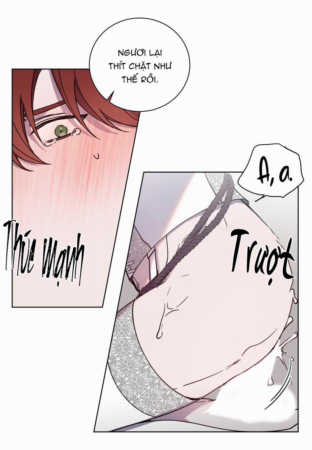 Bá Tước, Yêu Tôi Đi 23 trang 20