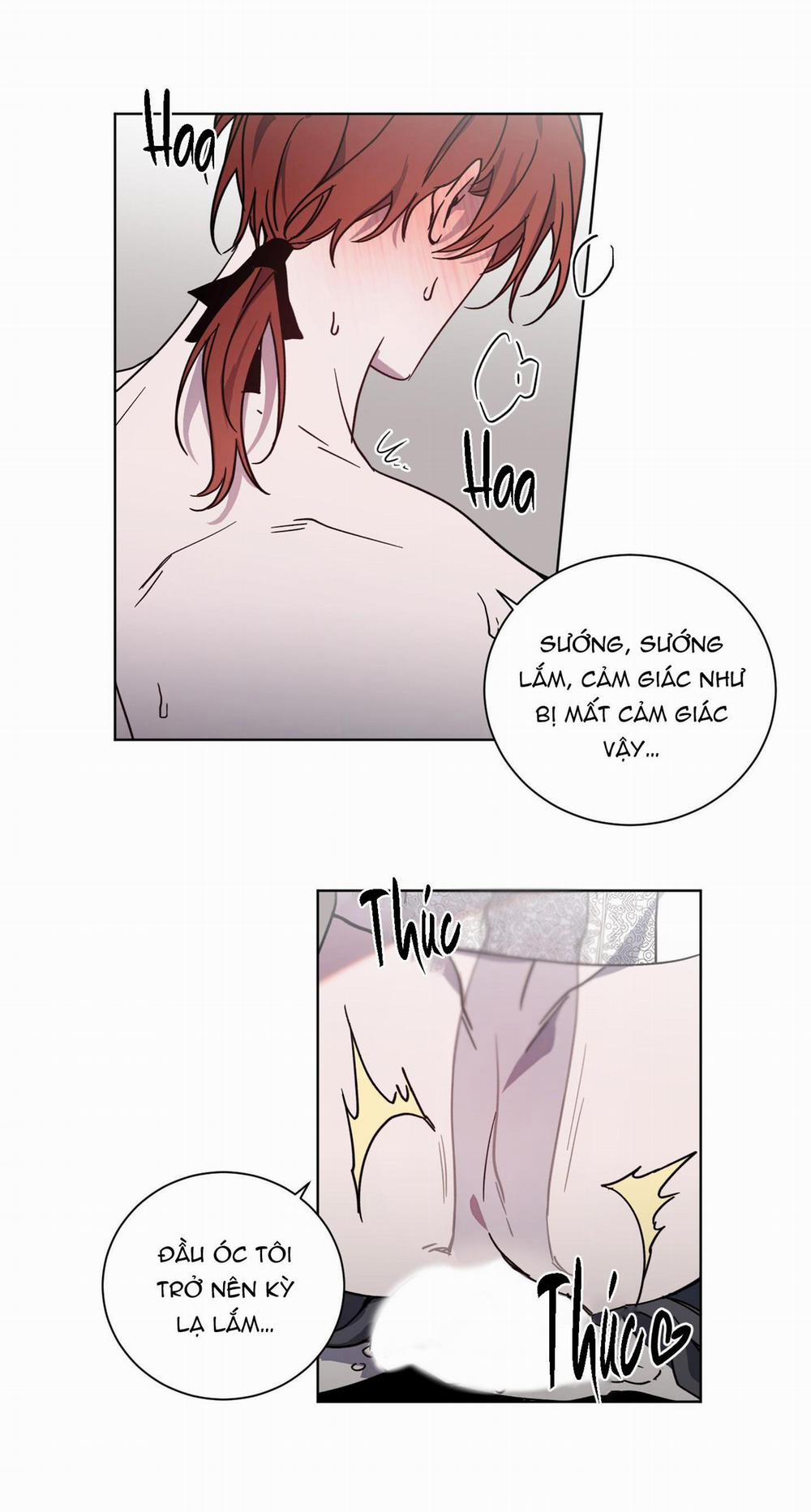 Bá Tước, Yêu Tôi Đi 23 trang 24