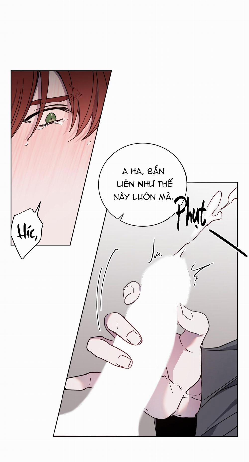 Bá Tước, Yêu Tôi Đi 23 trang 41