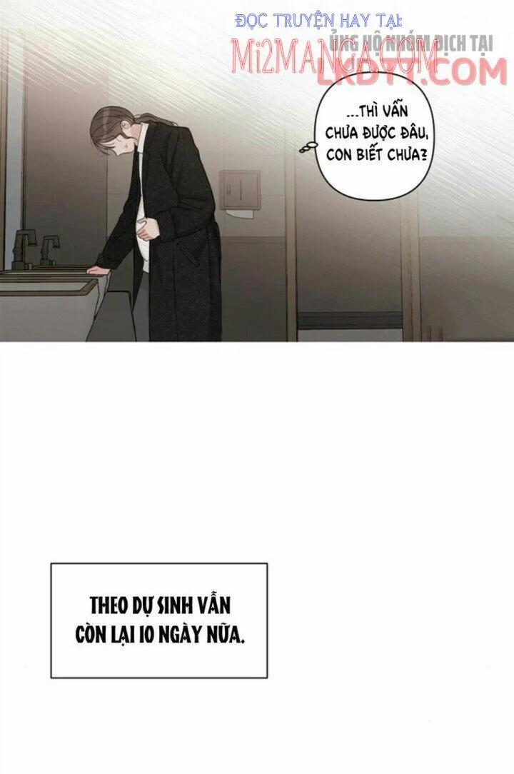 Baby Đến Rồi! 65.2 trang 5