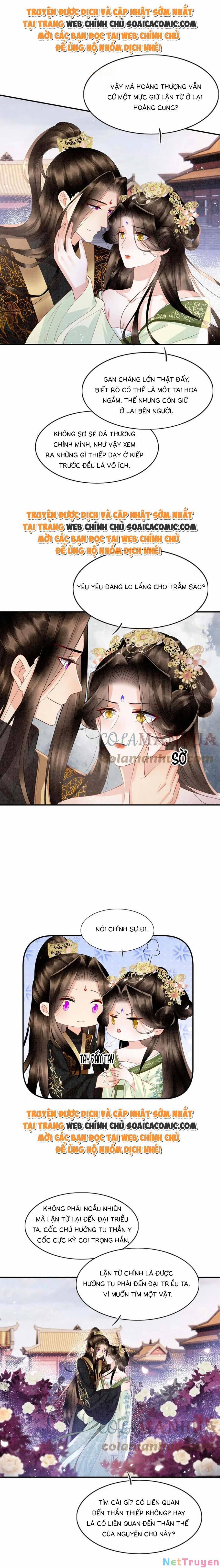 Bạch Nguyệt Quang Lạm Quyền Của Sủng Hậu 104 trang 1