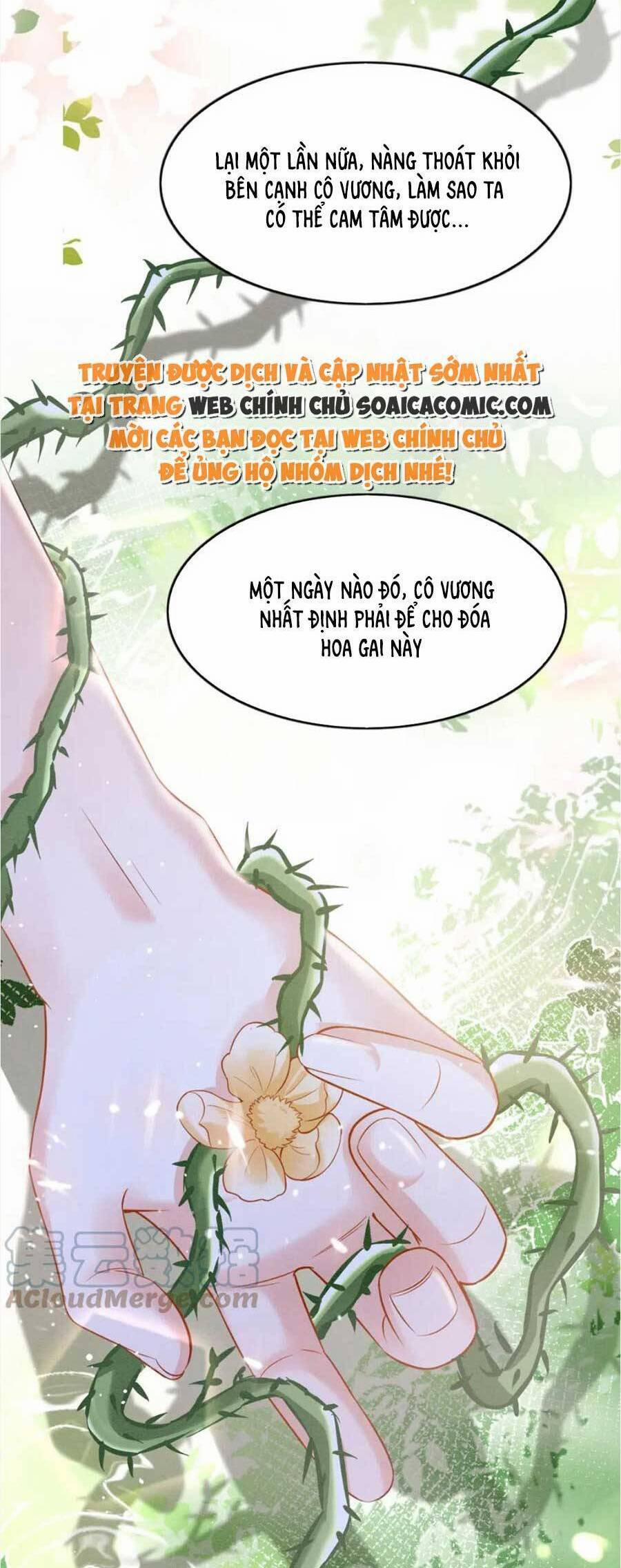 Bạch Nguyệt Quang Lạm Quyền Của Sủng Hậu 95 trang 17