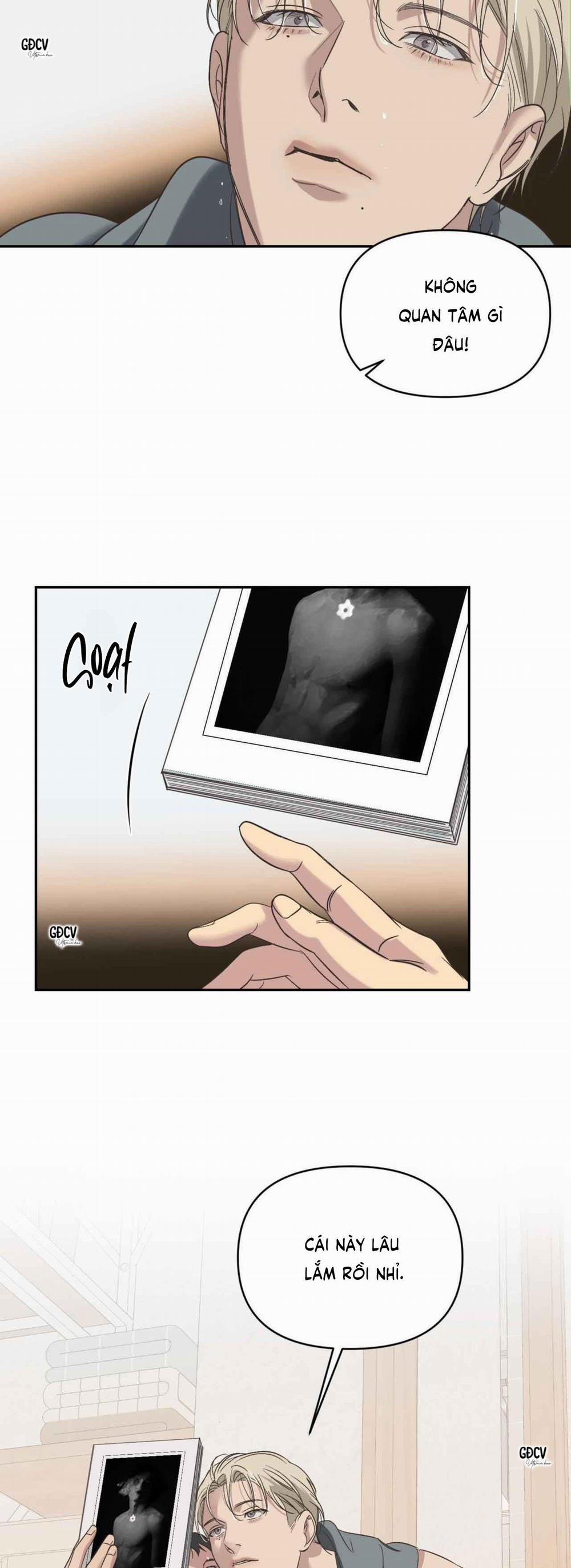 Backlight 10 trang 28