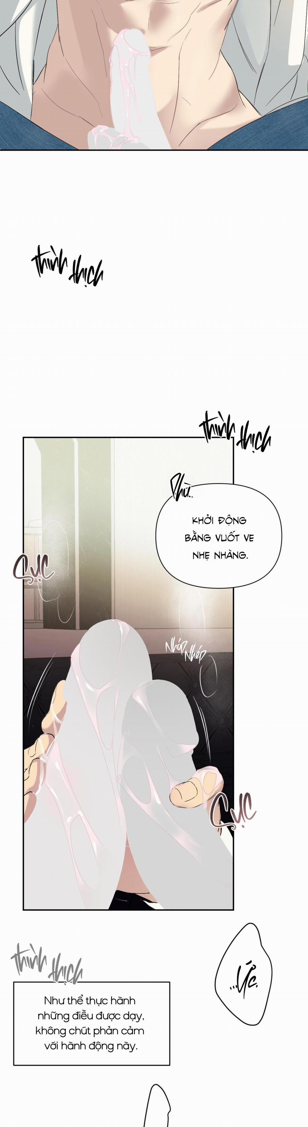 Backlight 16 trang 13