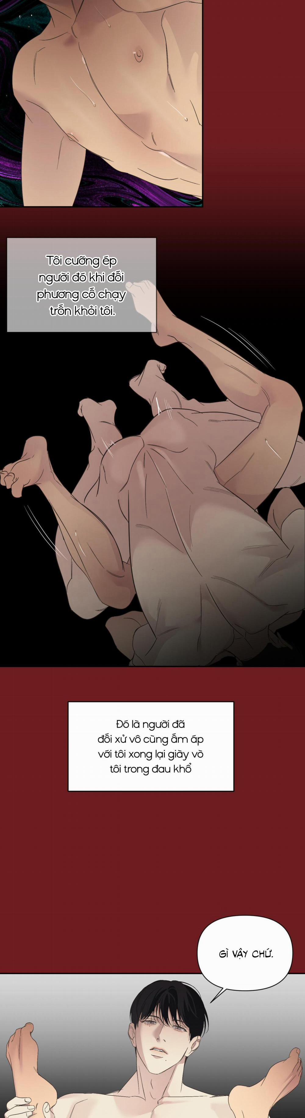 Backlight 17 trang 19