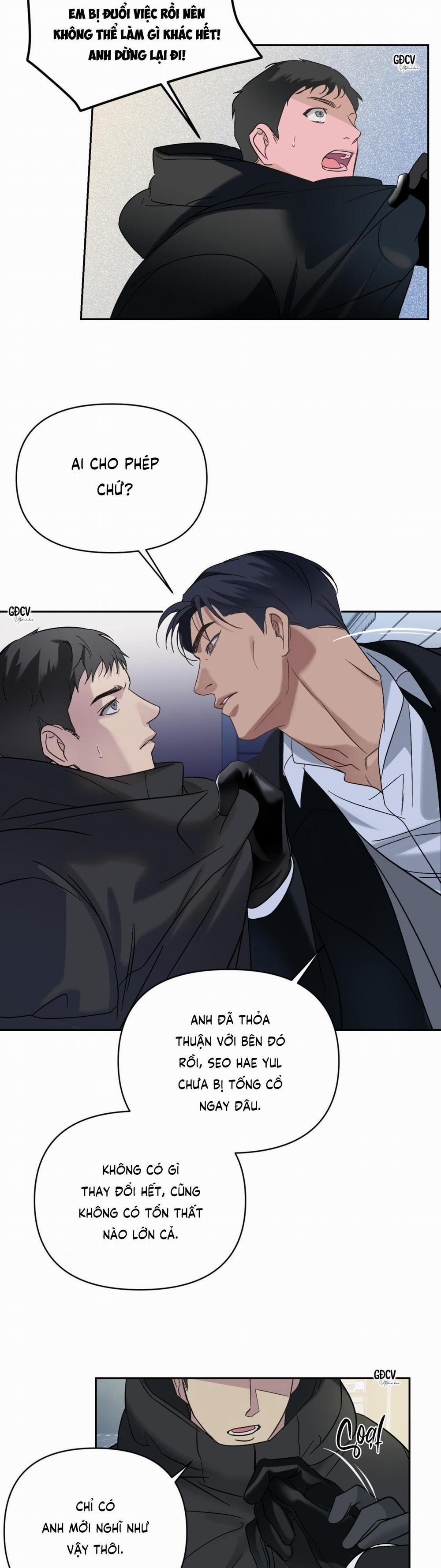 Backlight 8 trang 21