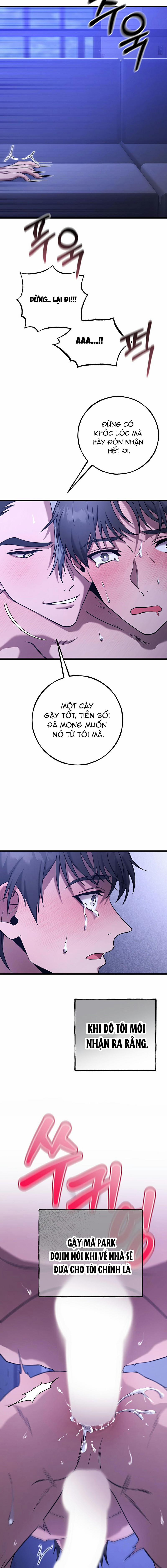 Bad Not Bat 6 trang 17