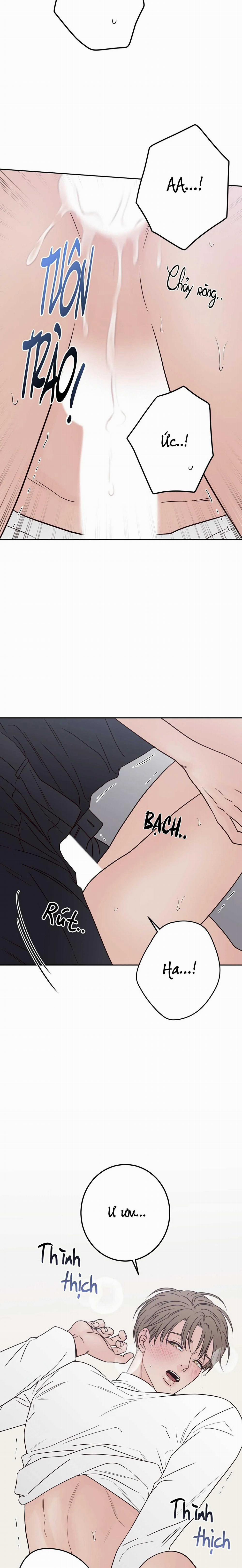 Bad Position 61 trang 20