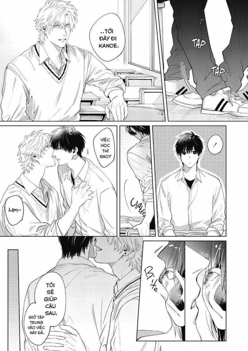 Bad Young Blood 3 trang 9