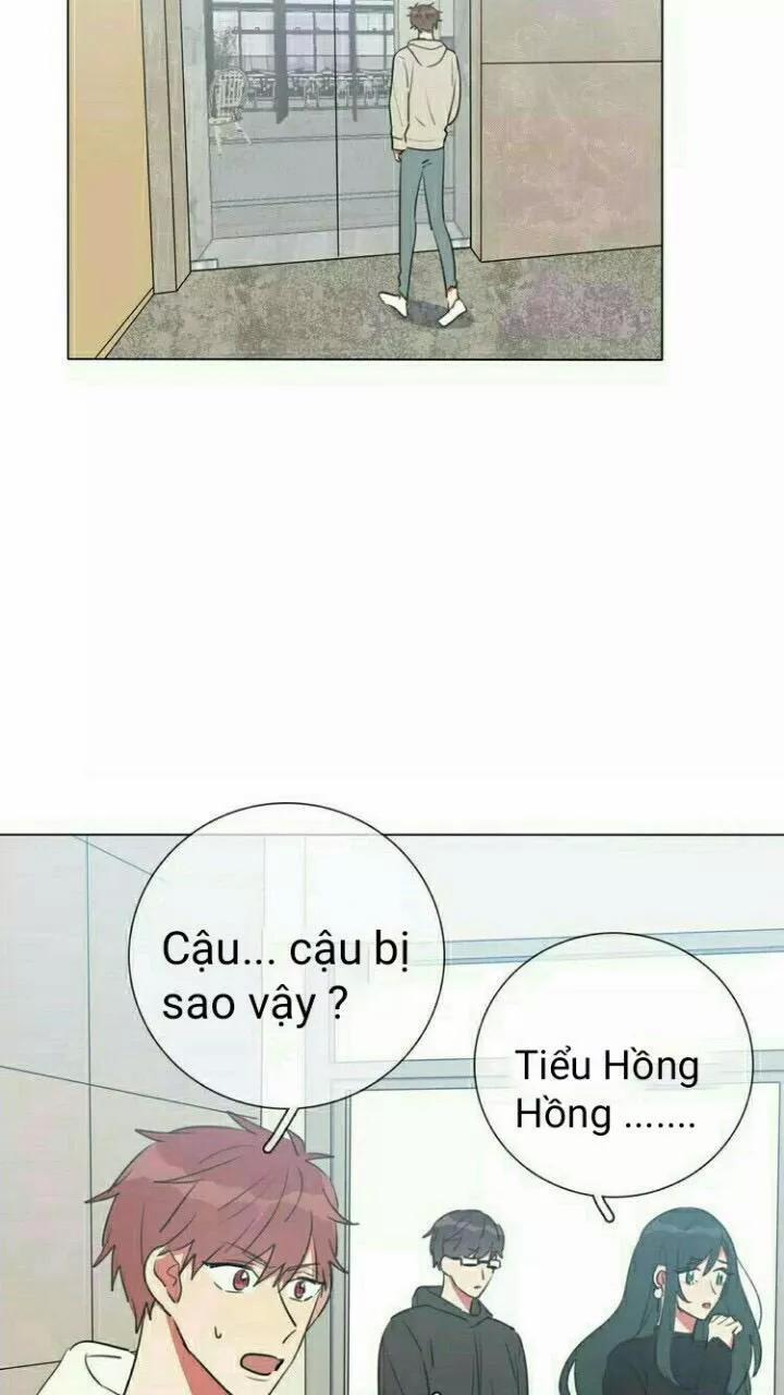 Bái Kiến Thất Cửu 12 trang 31