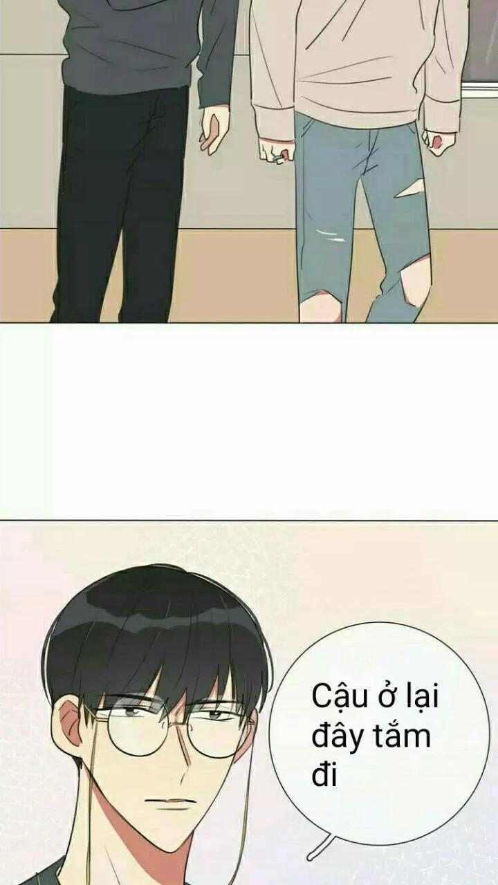 Bái Kiến Thất Cửu 12 trang 43