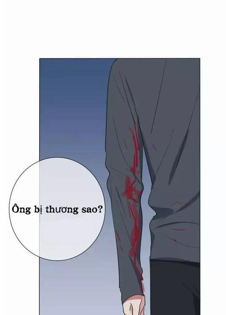 Bái Kiến Thất Cửu 14 trang 29