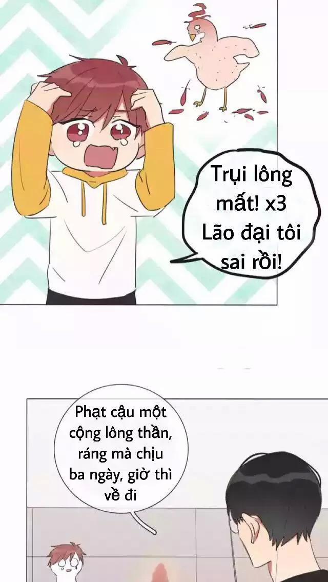 Bái Kiến Thất Cửu 8 trang 23