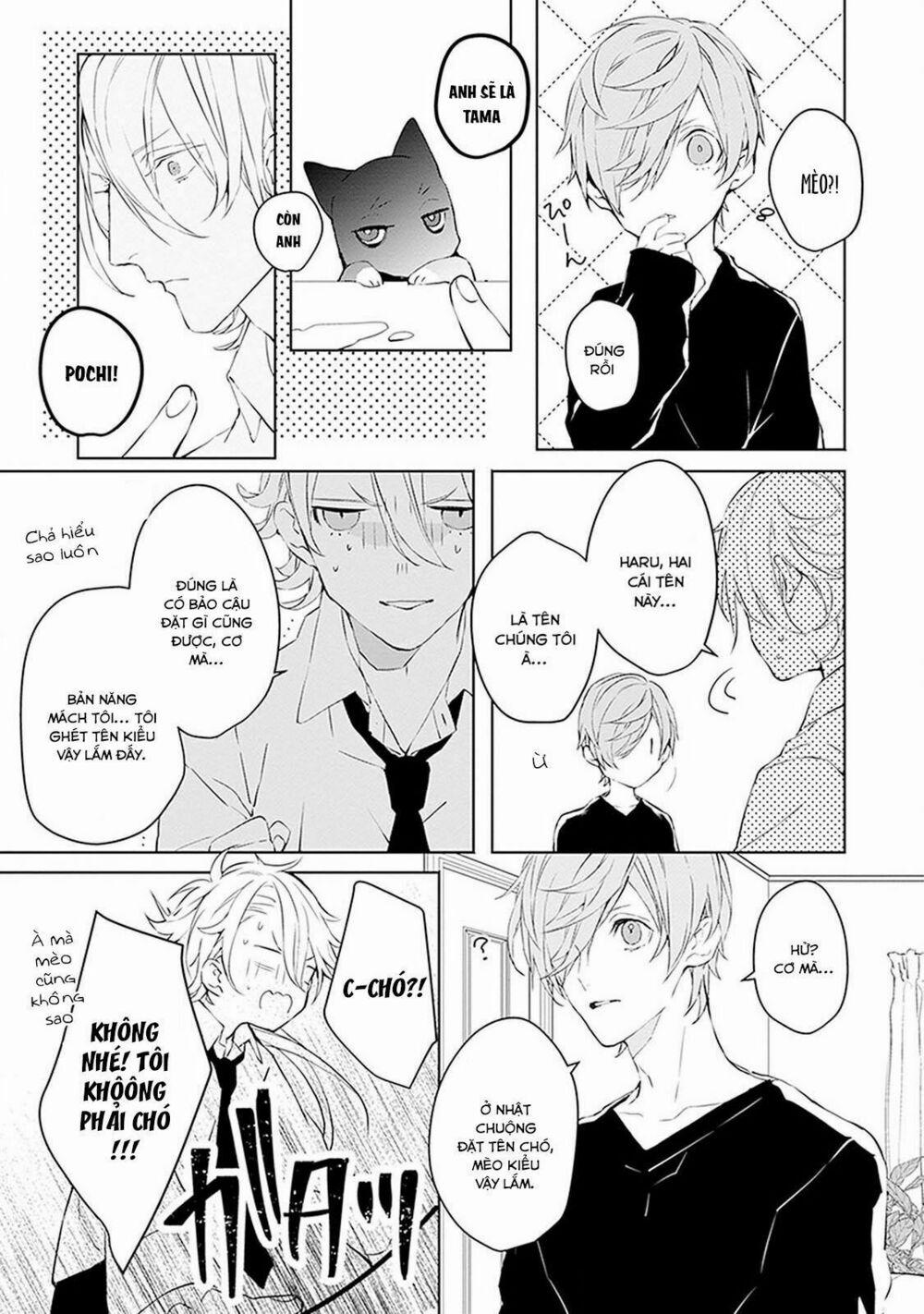 Ballad X Opera 2 trang 11