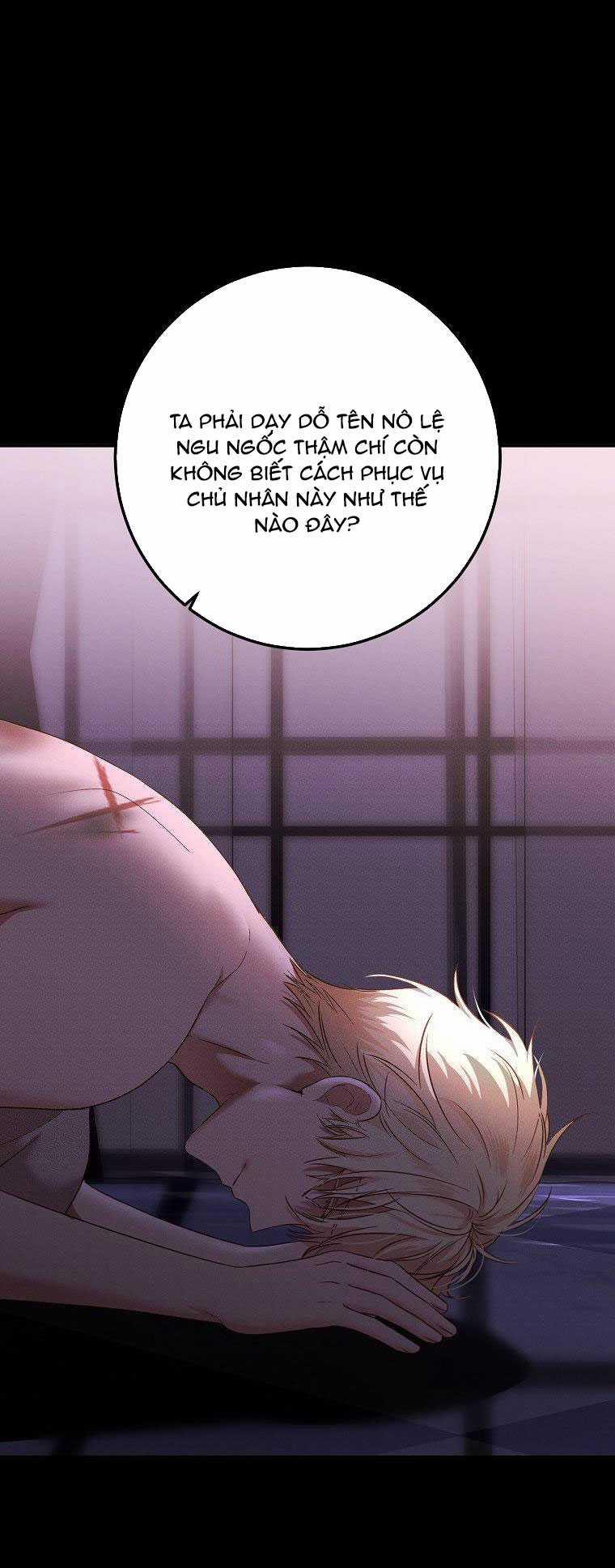 [Bản 15+] Tôi Lạc Vào Thế Giới Trò Chơi Harem Ngược 116.1 trang 7