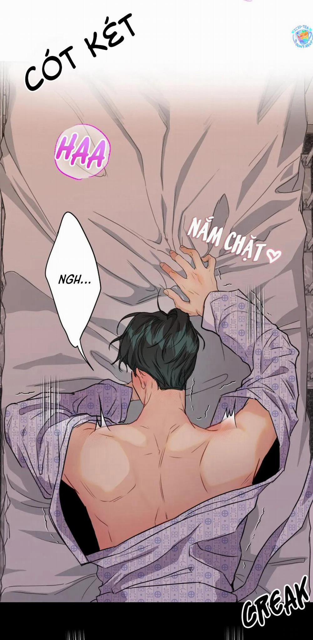 Bản Báo Cáo Bắt Giữ Tuyến Tiền Liệt 0 trang 11