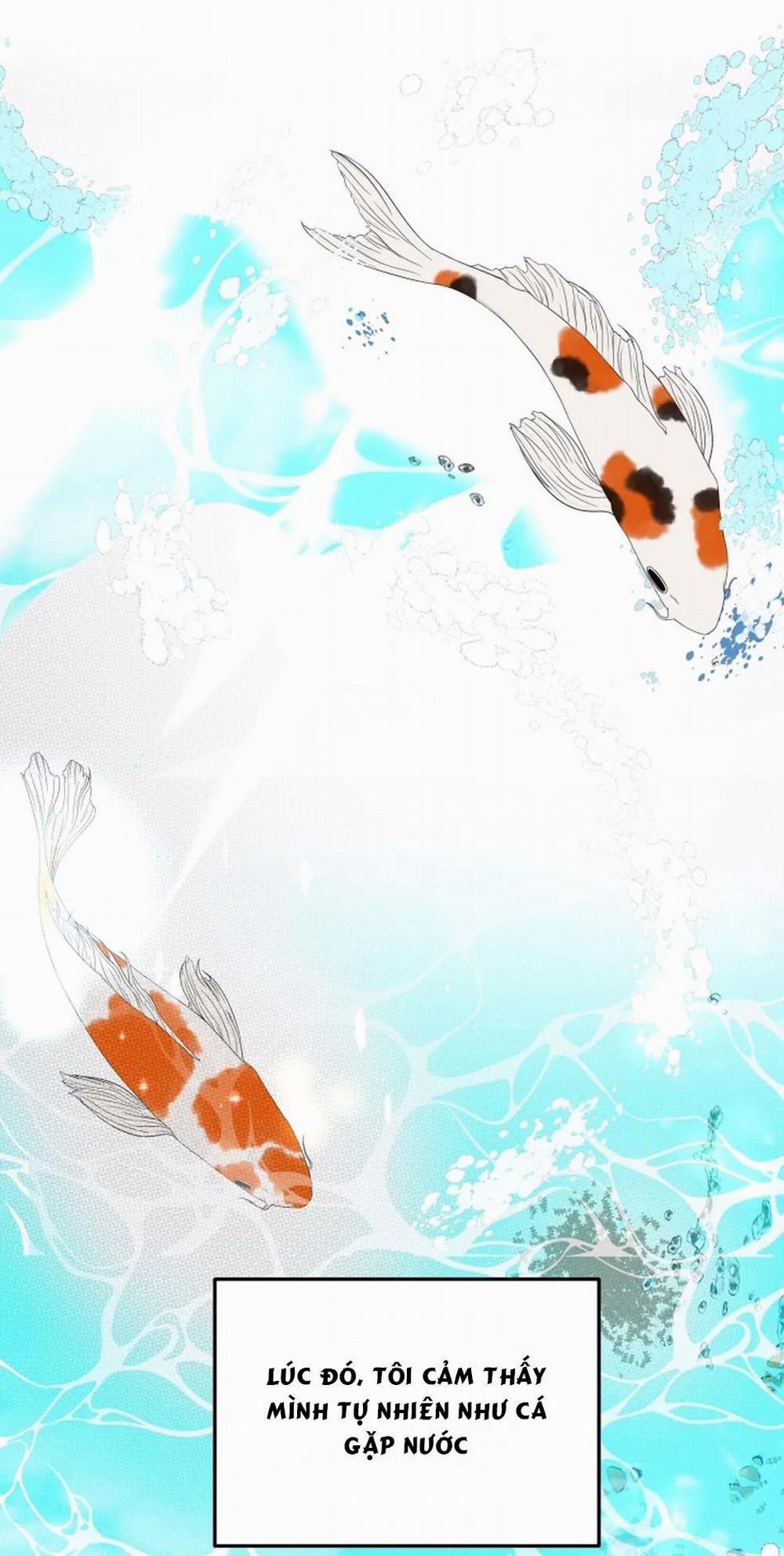 Bản Báo Cáo Bắt Giữ Tuyến Tiền Liệt 2 trang 62