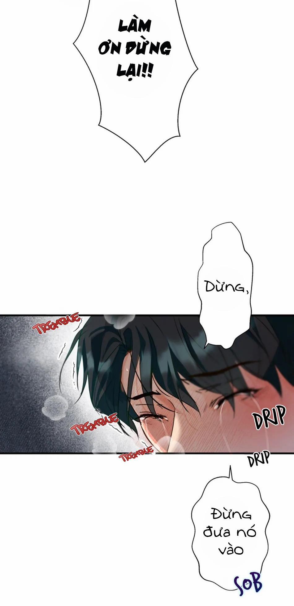 Bản Báo Cáo Bắt Giữ Tuyến Tiền Liệt 4 trang 25