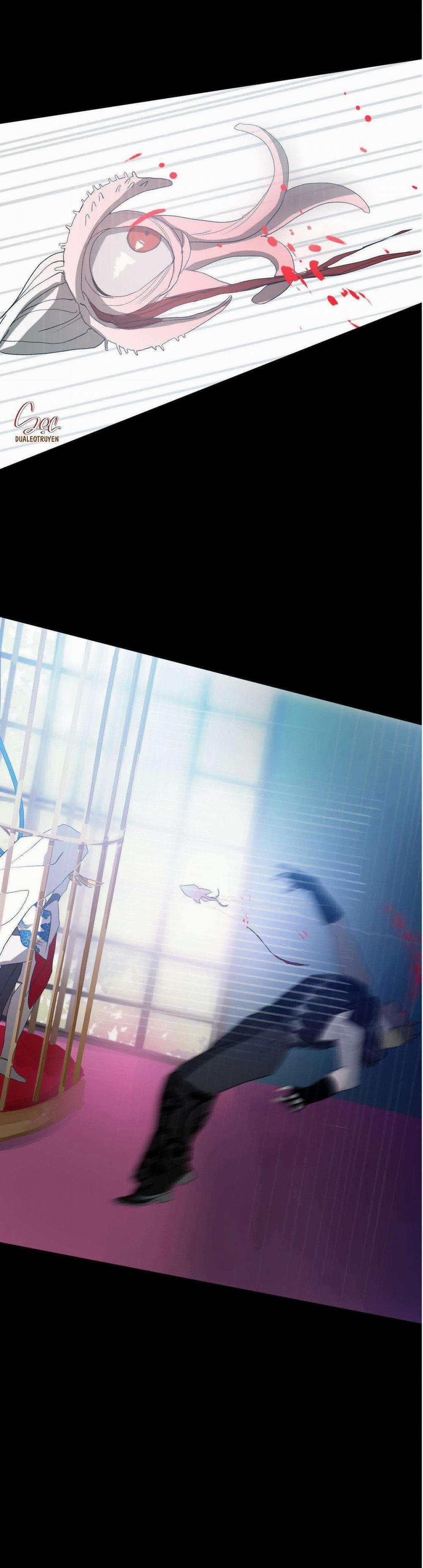 BẠN CÙNG LỚP MẪU GIÁO MẶT TRỜI 15 trang 42