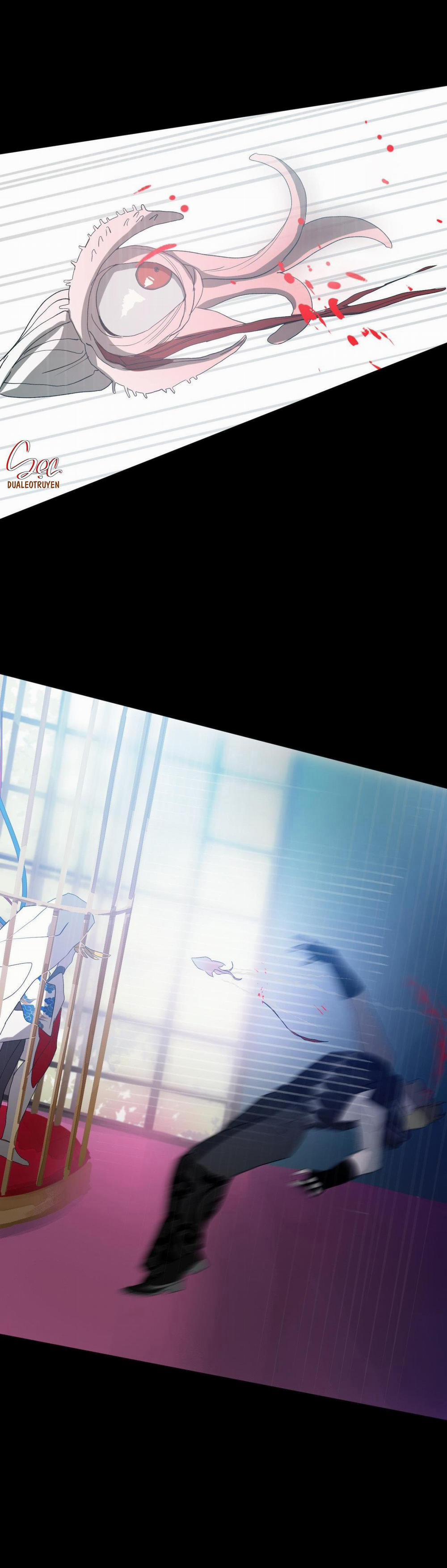 BẠN CÙNG LỚP MẪU GIÁO MẶT TRỜI 16 trang 2