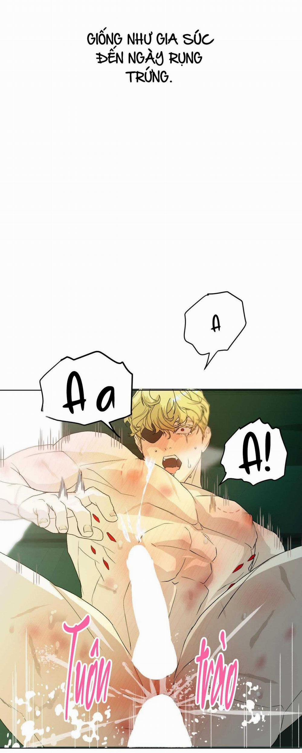 BẠN CÙNG LỚP MẪU GIÁO MẶT TRỜI 18 trang 6