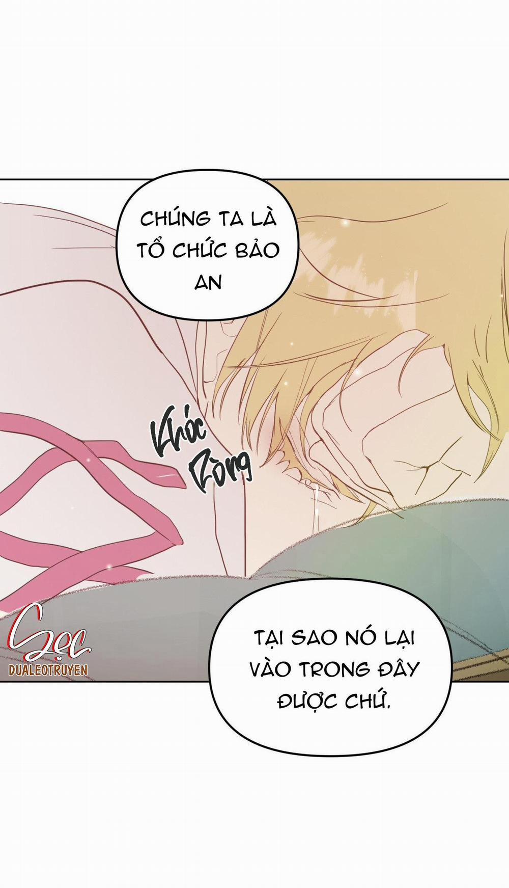 BẠN CÙNG LỚP MẪU GIÁO MẶT TRỜI 8 trang 39