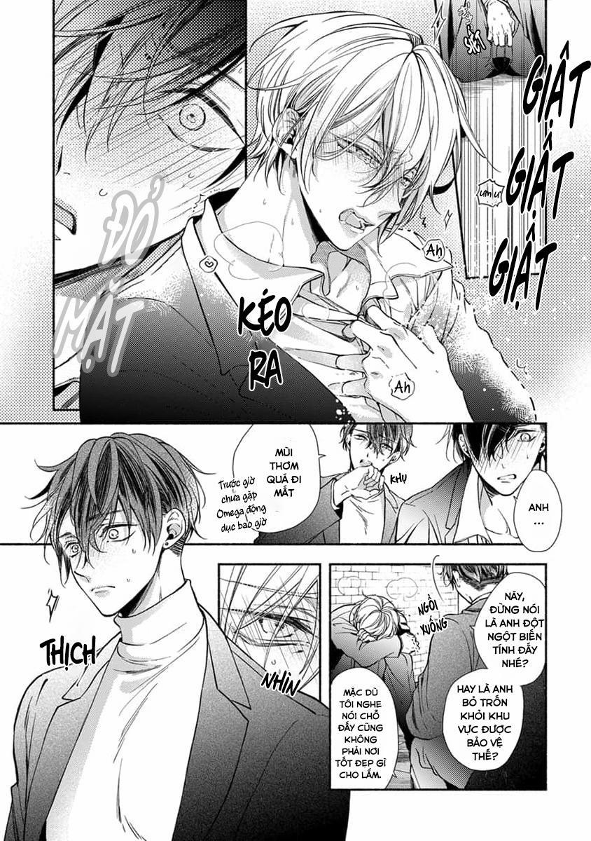 Bạn Đời Của Chúng Tôi Là Một Omega Bướng Bỉnh 1 trang 13