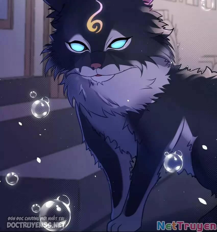 Bạn Gái Hoa Khôi Là Cương Thi?! 11 trang 36