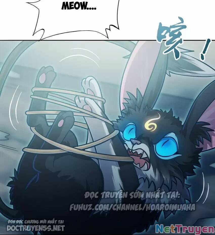 Bạn Gái Hoa Khôi Là Cương Thi?! 11 trang 61