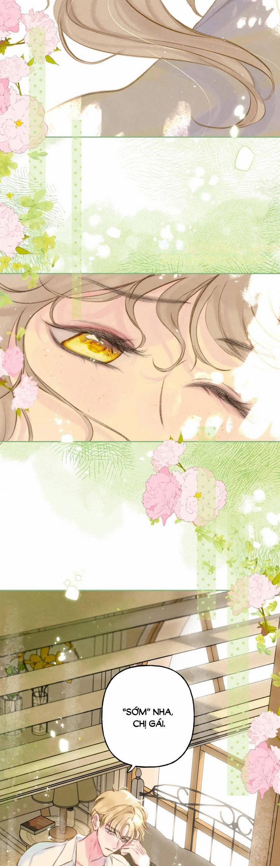 Bạn Gái Tôi Ấm Áp Tựa Như Xương Rồng Nở Hoa 63 trang 25