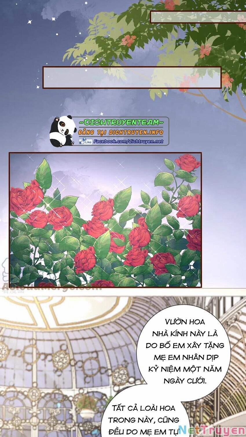 Bạn Gái Tuổi 30+ 109 trang 16