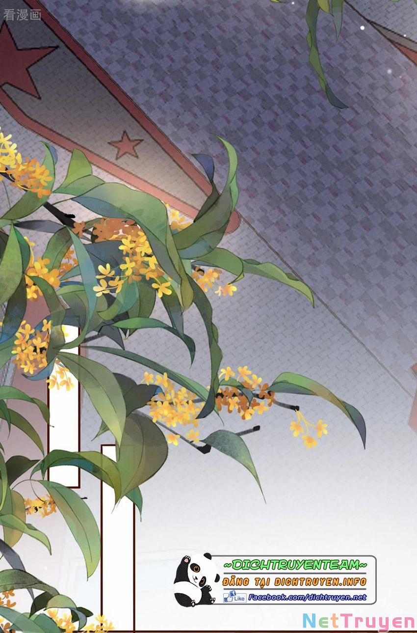 Bạn Gái Tuổi 30+ 115 trang 28