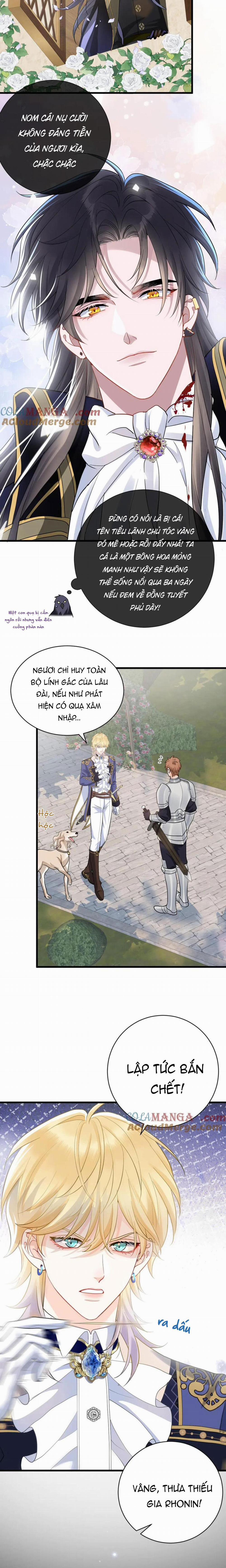 Bản Tình Ca Nụ Hôn Ngục Tù 11 trang 5