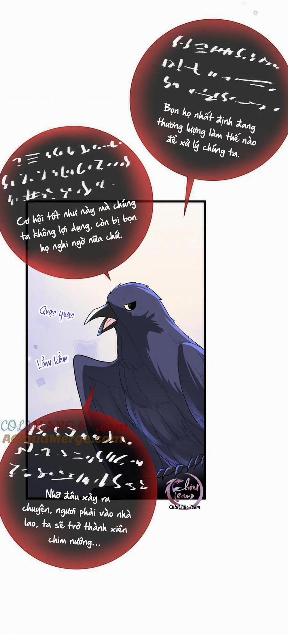 Bản Tình Ca Nụ Hôn Ngục Tù 14 trang 16