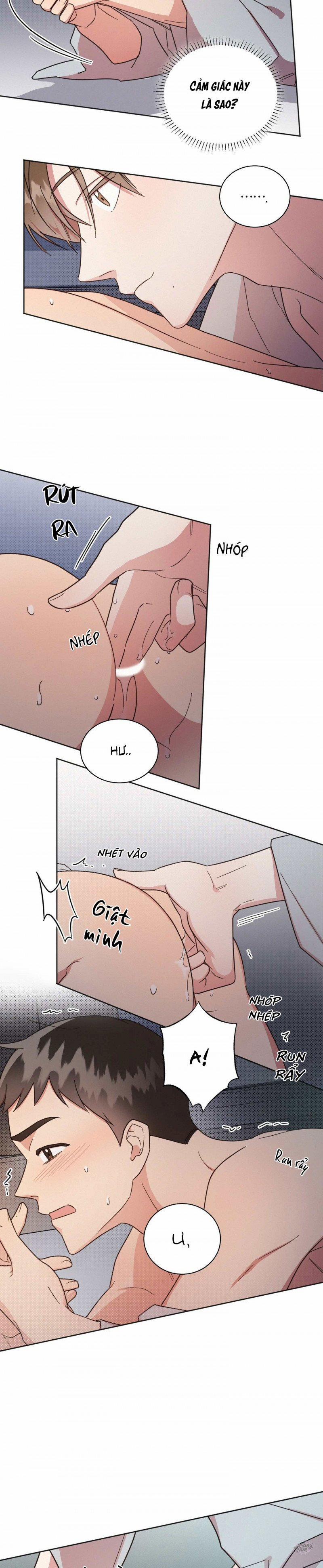 Bạn Tình Một Đêm 11 trang 1