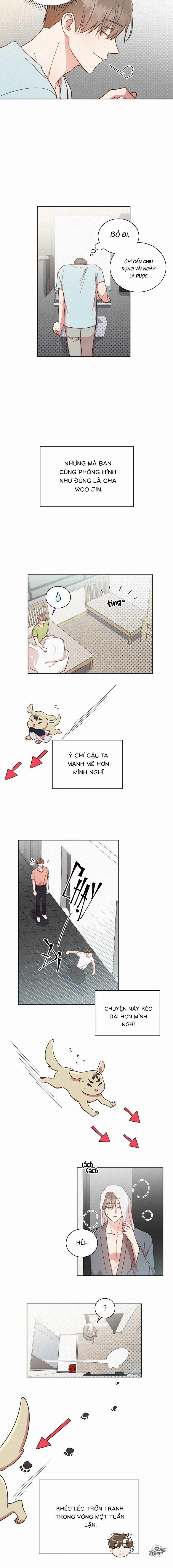 Bạn Tình Một Đêm 14 trang 12