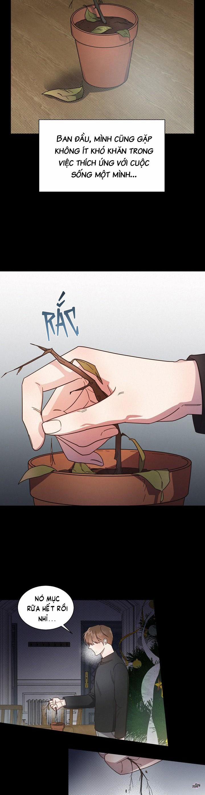 Bạn Tình Một Đêm 38 trang 15