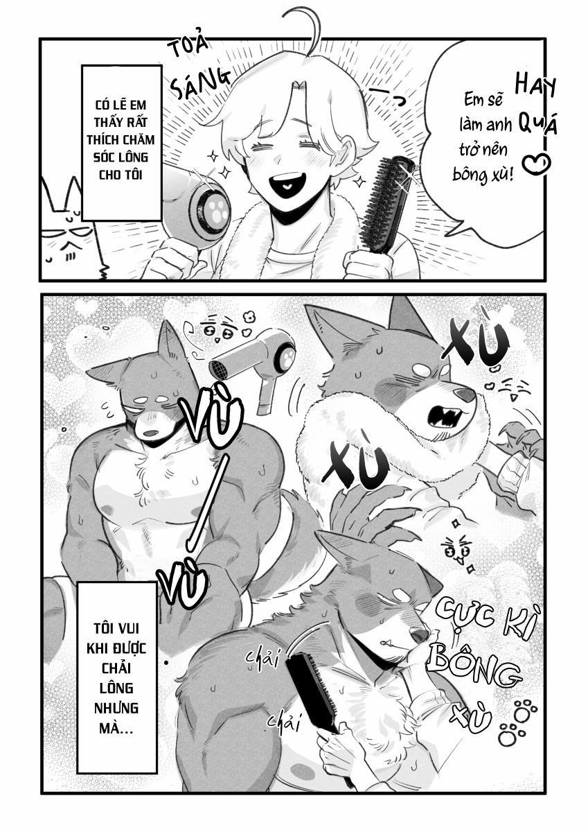 BẠN TRAI CỦA TÔI LÀ CHÓ 10 trang 2