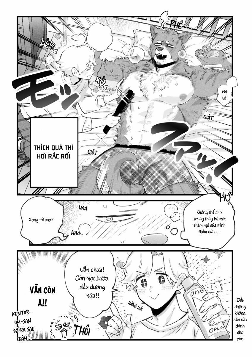 BẠN TRAI CỦA TÔI LÀ CHÓ 10 trang 3