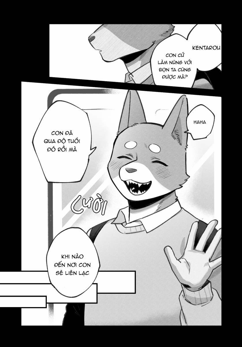 BẠN TRAI CỦA TÔI LÀ CHÓ 19 trang 5