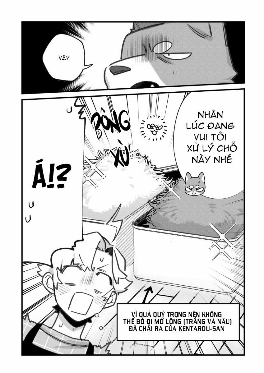 BẠN TRAI CỦA TÔI LÀ CHÓ 24 trang 1