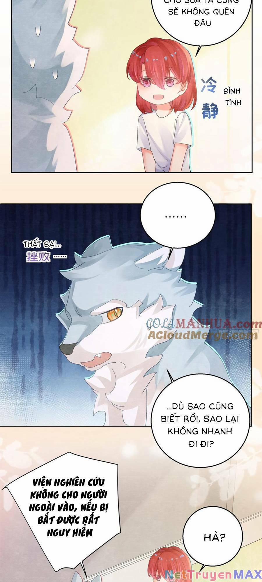 Bạn Trai Hóa Thú Của Tôi 8 trang 7