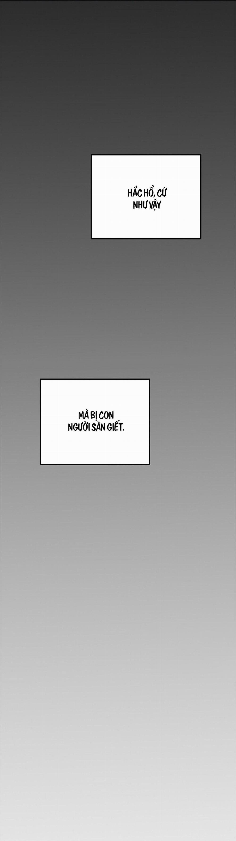 Bạn Trai Mãnh Hổ Của Hắn 37 hachiennhom trang 68