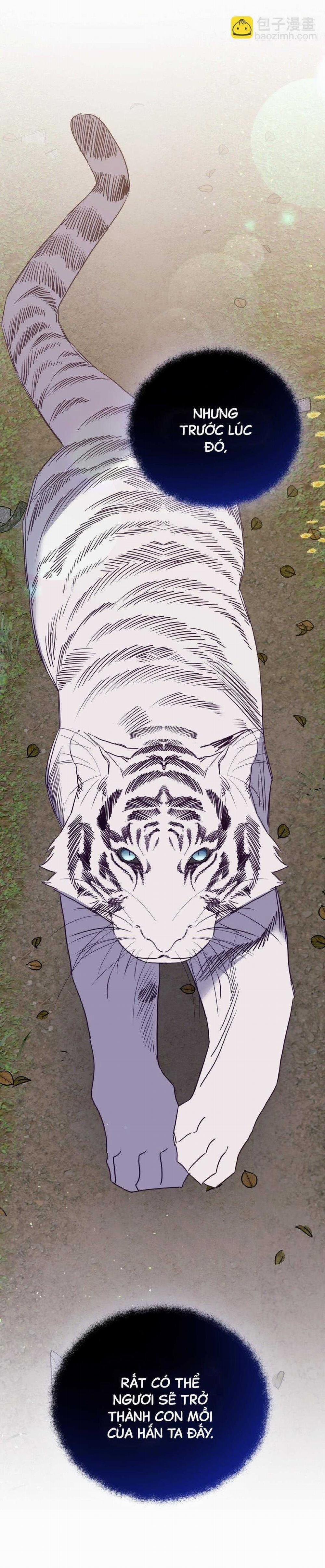 Bạn Trai Mãnh Hổ Của Hắn 41 trang 14