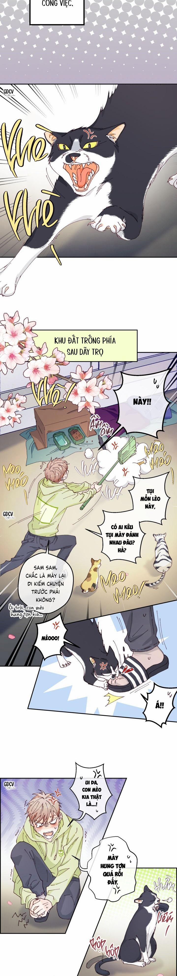 Bạn Trai Vô Song Của Tôi 1 trang 7